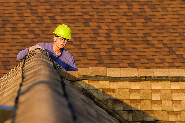 Best Roof Leak Repair  in USA